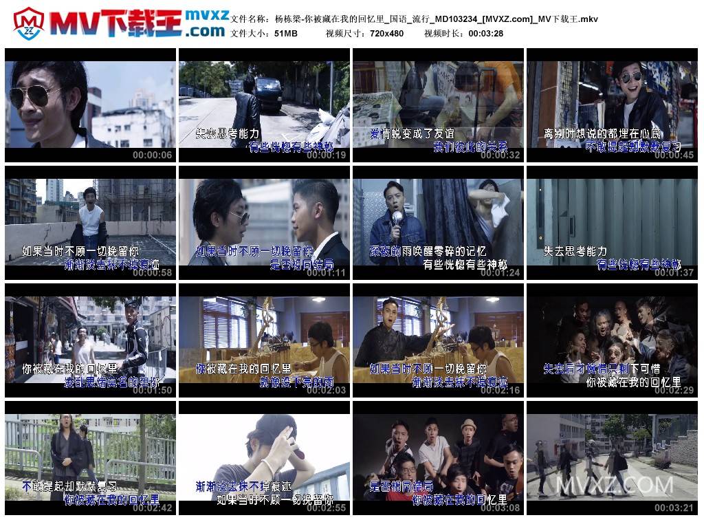 杨栋梁-你被藏在我的回忆里_国语_流行_MD103234